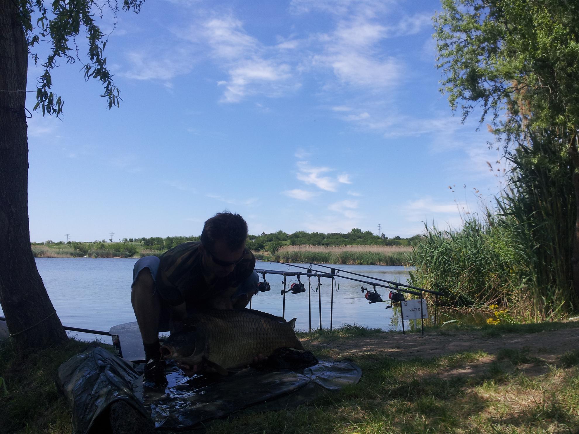 tancabesti 11-12'05''2013 - 20130512140302.jpg